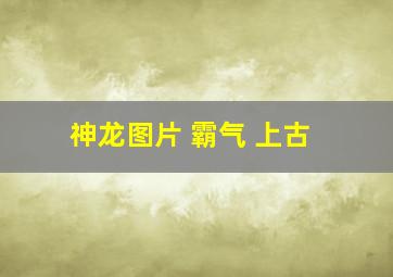 神龙图片 霸气 上古